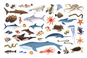 Fishes set + sea life backgrounds, an Animal Illustration by PaperTrident (Thumbnail 2 of 8)