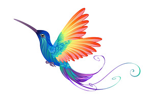 Bright Rainbow Hummingbird