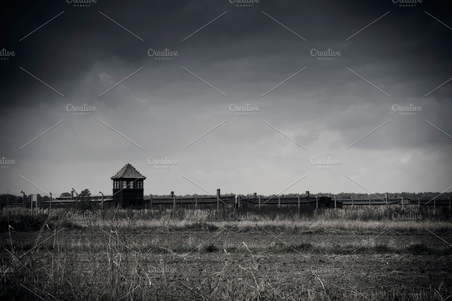Auschwitz, Birkenau
