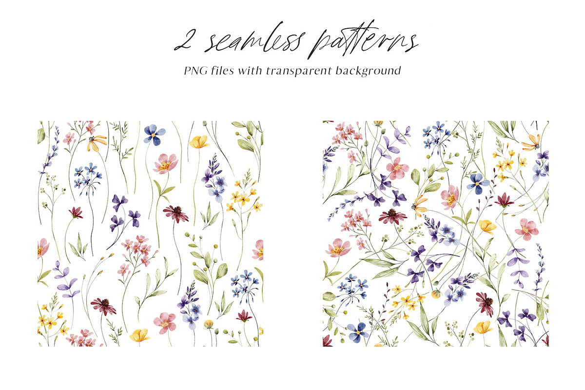 Floral watercolor set, wildflowers., a Decorative Illustration by Larisa Maslova (Photo 5 of 12)