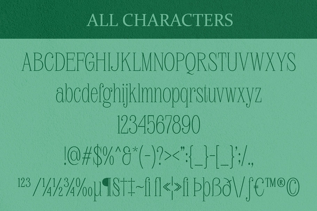 Avelion – Elegant Serif, a Font by Craft Supply Co. (Photo 8 of 8)