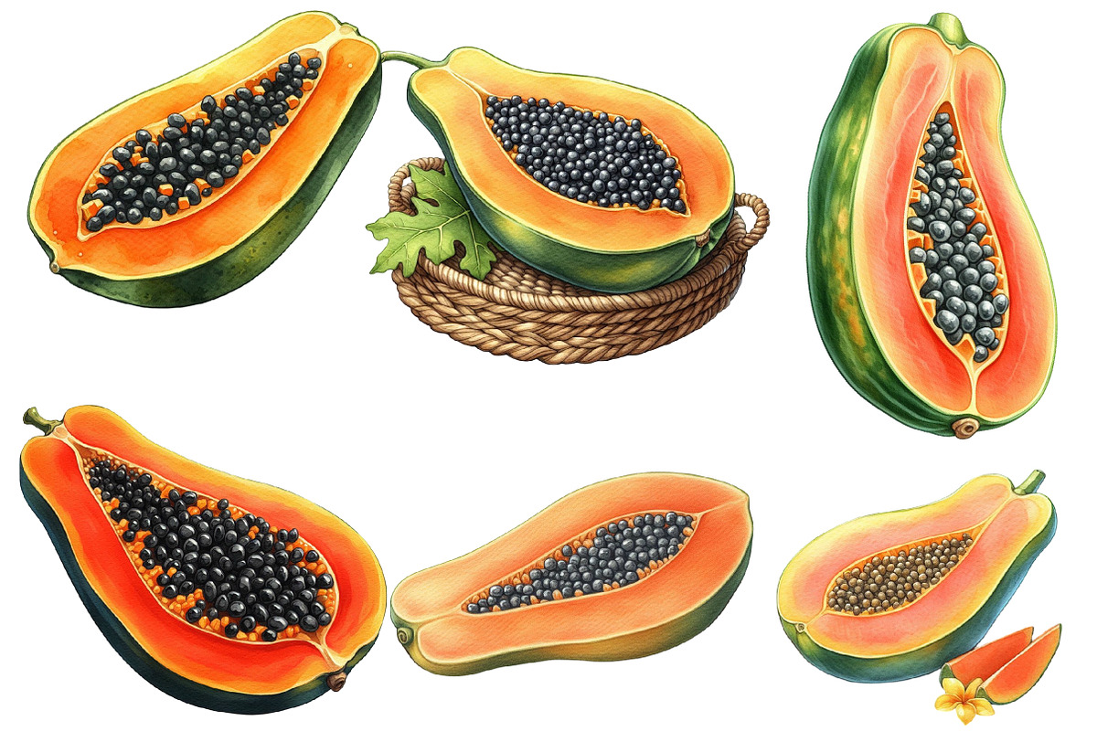 Watercolor Papaya Fruit Clipart, an Illustration by Designworld (Photo 3 of 6)