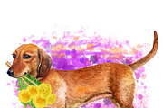 Watercolor Dogs Mega Big Bundle, an Illustration by Dneprstock (Thumbnail 21 of 60)