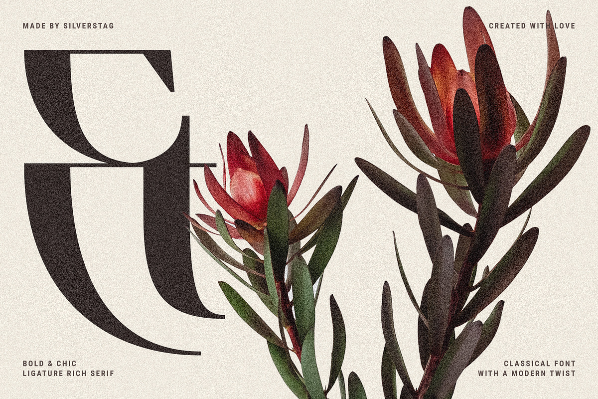 Archer Display - Ligature Serif Font, a Serif Font by SilverStag Type Foundry (Photo 12 of 29)
