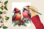 Christmas Grosbeak Birds PNG, an Illustration by Designking (Thumbnail 2 of 4)