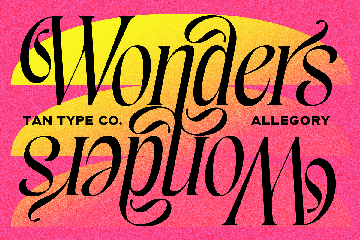 TAN - ALLEGORY, DUO FONT, a Serif Font by TanType (Photo 9 of 10)