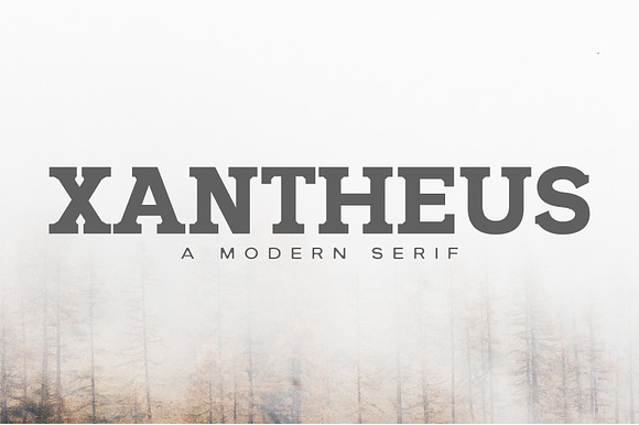 Xantheus Serif Font Family preview 8