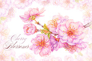 Cherry Blossom, Sakura Watercolor, an Illustration by MarinadeArt (Thumbnail 1 of 6)