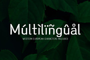 Greenstyle Great Vibes Casual Font, a Sans Serif Font by Parker Creative (Thumbnail 4 of 9)