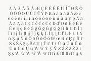 The Glow Maker's Serif (15 Fonts), a Serif Font by Positive TypeFoundry (Thumbnail 7 of 15)