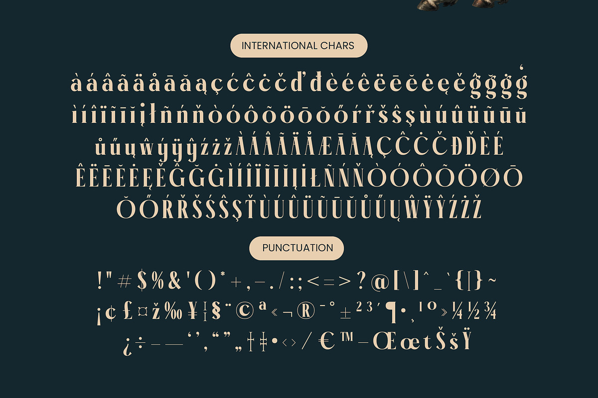 Garaleo Modern Luxury Serif, a Script Font by timelesstype.co (Photo 18 of 20)