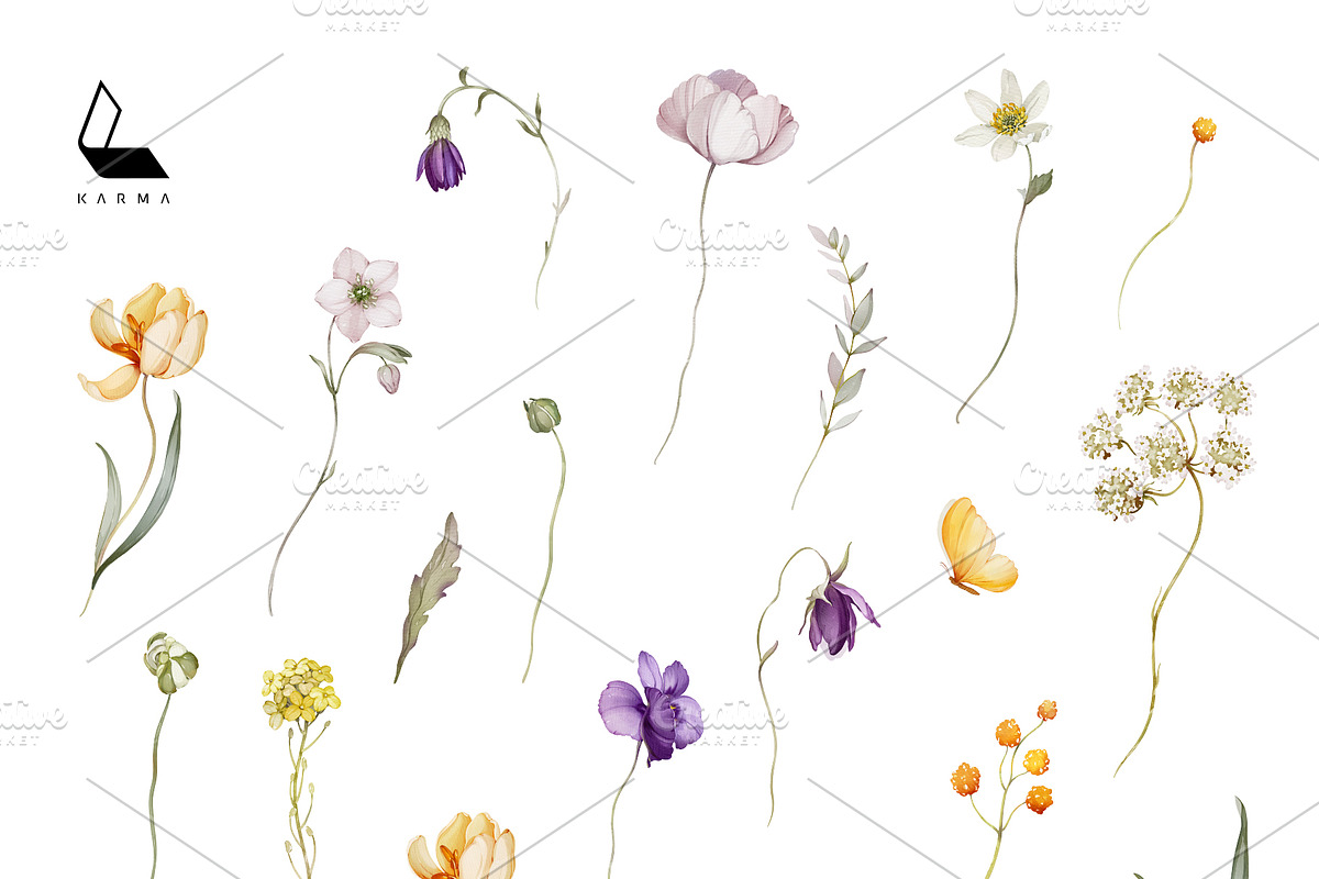 Juliana | Botanical set, an Illustration by Karma (Photo 18 of 20)