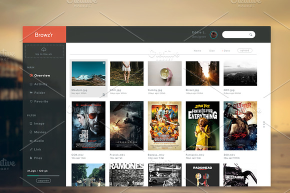 Browzr Dashboard