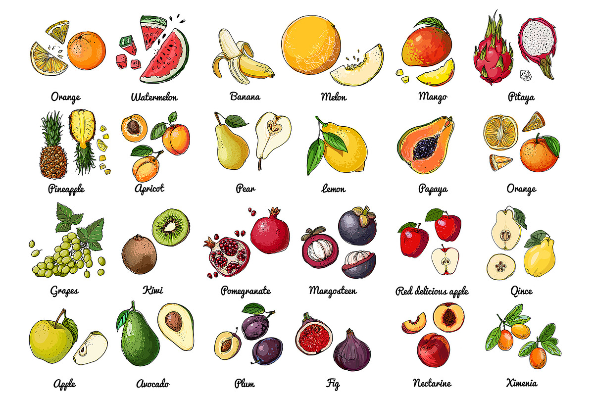 Vector food: vegetables and fruits, a Food Illustration by irina.vaneeva (Photo 10 of 16)