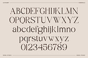 Rameena - Modern Elegant Serif, a Serif Font by Sohel Studio (Thumbnail 9 of 10)