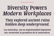 DT Augustina Slab 1 Subfamily, a Slab Serif Font by Deveze Type Foundry (Thumbnail 9 of 31)