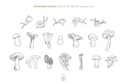 COTTAGECORE HERBARIUM, an Object Illustration by Kate Art (Thumbnail 3 of 22)