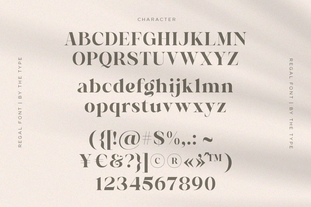 Regal - Curving Stylish Font, a Serif Font by The_Type (Photo 11 of 12)