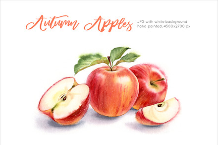 Autumn Red Apples. Watercolor