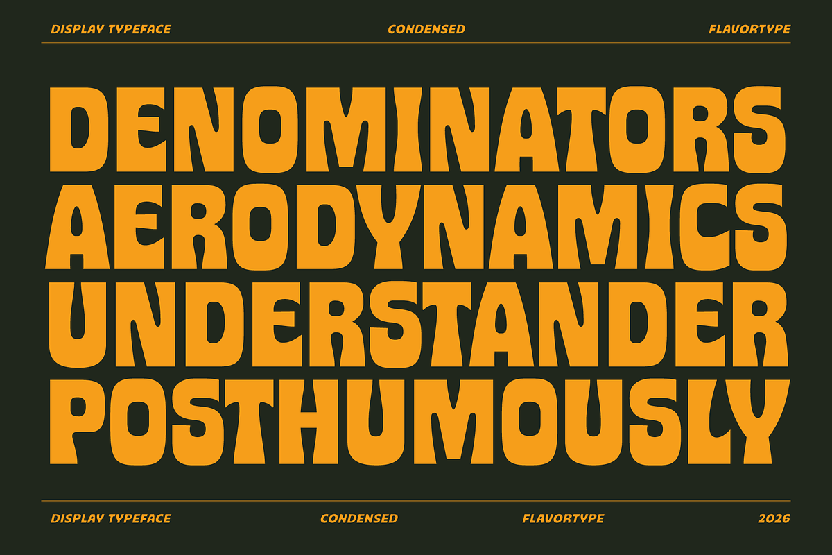 Notre - Plus Bonus Photos, a Sans Serif Font by Flavortype (Photo 2 of 16)