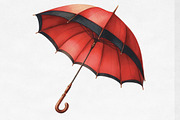 Parisian Summer Clipart, an Illustration by Designking (Thumbnail 2 of 4)