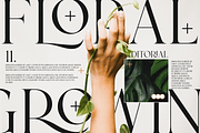 Soohe Modern Serif, a Serif Font by Vampstudio (Thumbnail 8 of 13)
