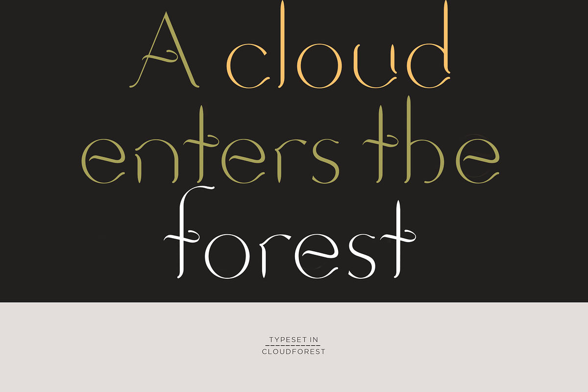 Cloudforest. Chic, modern serif font, a Serif Font by LostandFoundry (Photo 2 of 5)