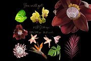 Wedding Tropical flower bundle, an Illustration by NNclipart (Thumbnail 2 of 9)