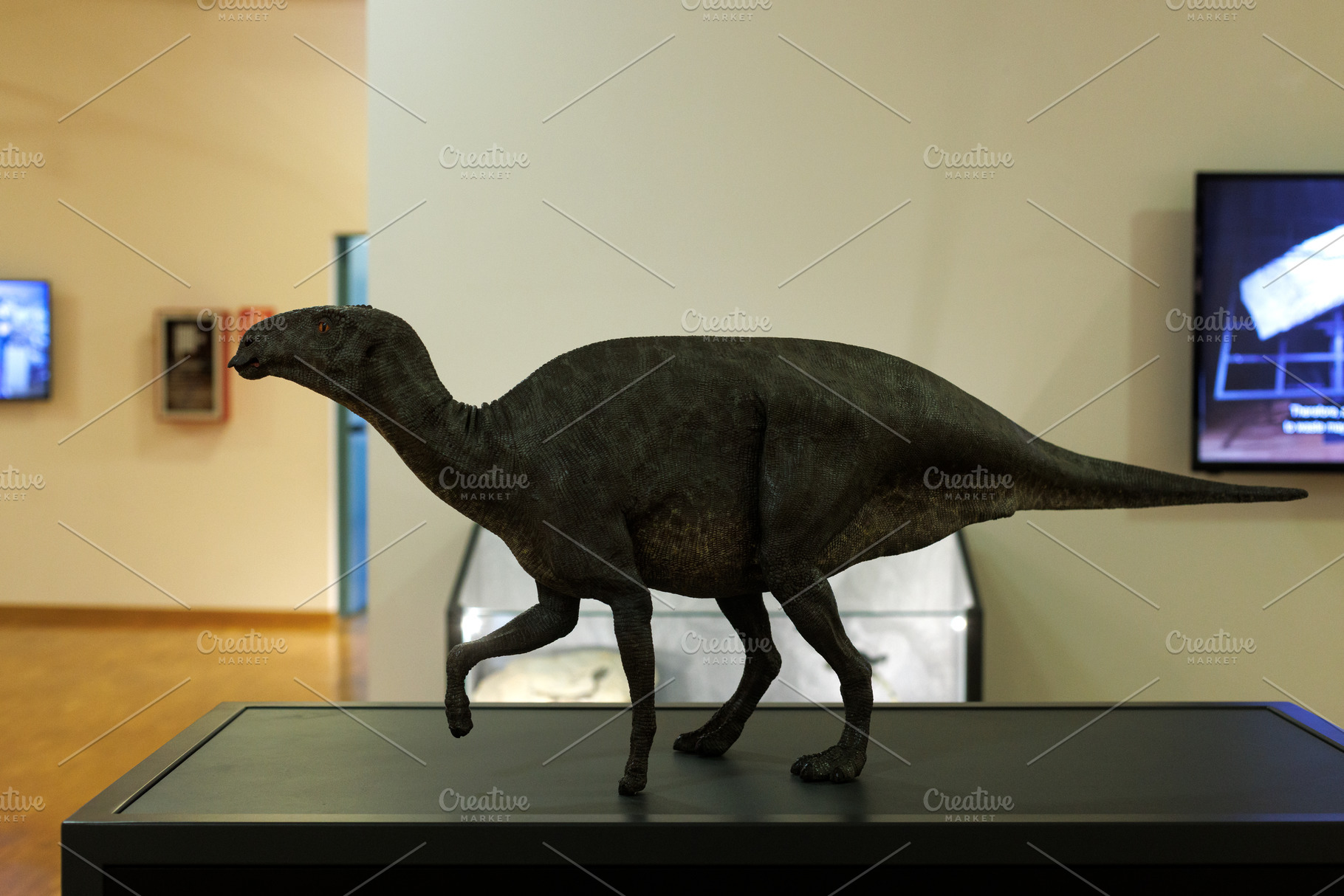 Antonio the Dinosaur - Tethyshadros insularis Fossil reconstruct, an Animal Photo by Bepslabor