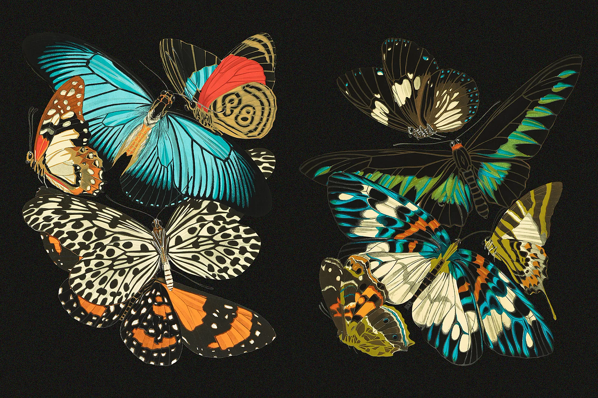 E.A. Séguy HQ Clipart Bundle, an Animal Illustration by Digital Museum (Photo 3 of 10)