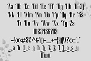 Shamhock, a Sans Serif Font by LetterStock (Thumbnail 6 of 6)
