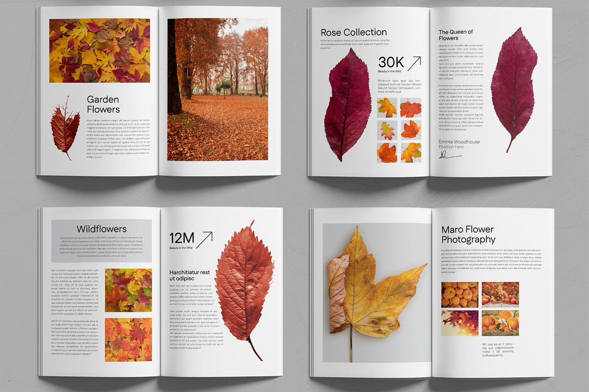 Flower Photobook Template, a Brochure Template by MightyDesign (Photo 3 of 6)