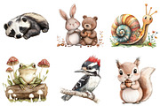 Woodland Animals Clipart, an Illustration by Watercolor design (Thumbnail 4 of 4)