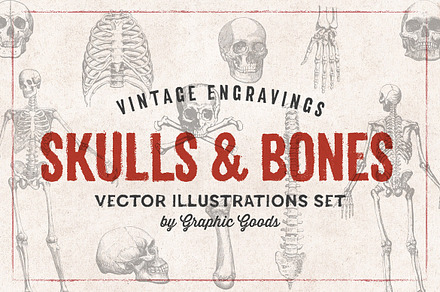 11 Skulls & Bones Illustration Set