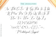 Sahitya script, a Script Font by Sulthan Studio (Thumbnail 8 of 8)