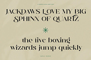 Qamille - Modern Classic Serif Font, a Serif Font by StudioinBry (Thumbnail 10 of 13)