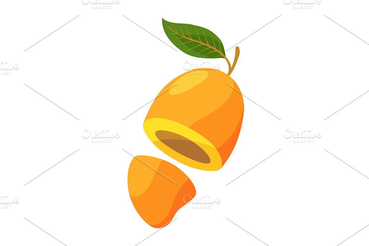Half mango, tropical fruit vector, a Food Illustration by the8monkey