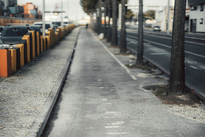 Faded bike lane with trees and road, a Transportation Photo by SkyNext