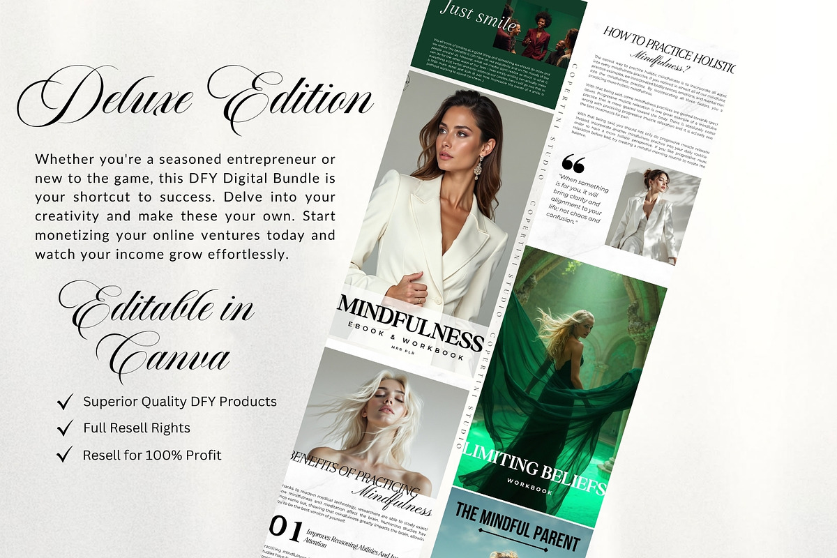 Coaching Bundle EBooks MRR PLR, a Brochure Template by CopertiniStudio (Photo 2 of 10)