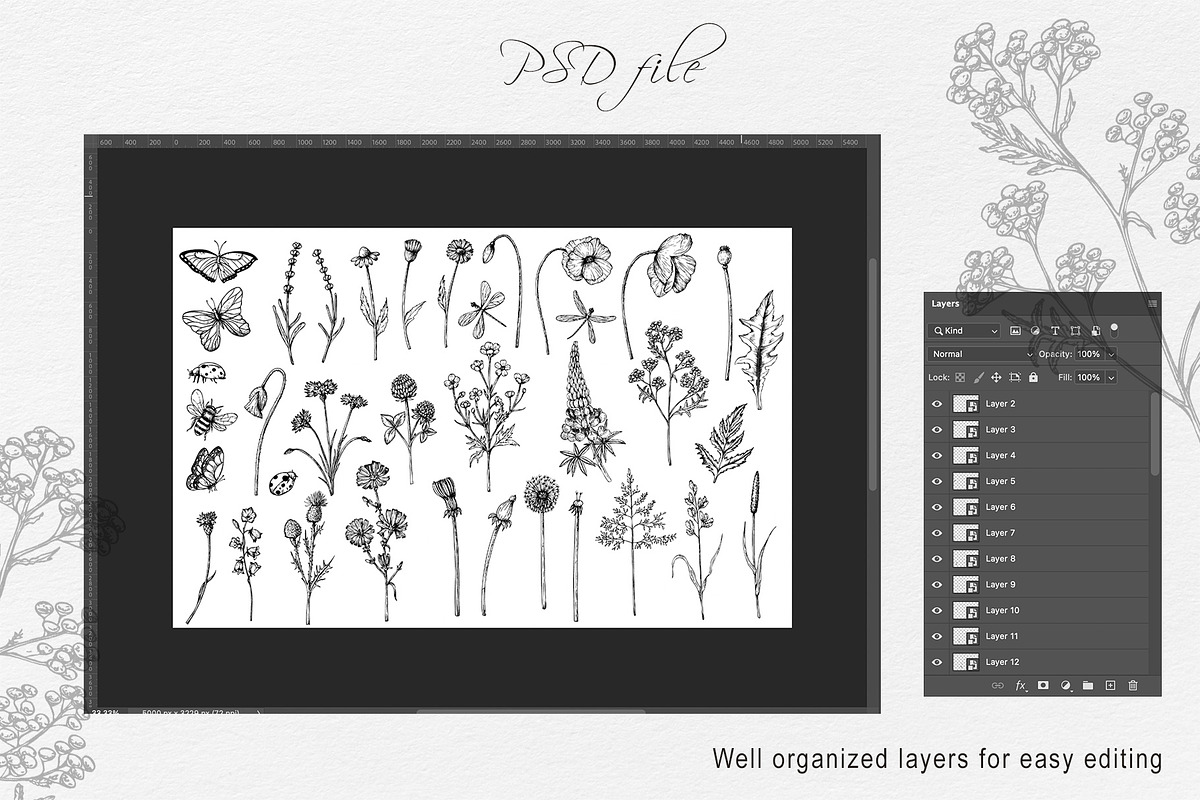 WILDFLOWERS Hand-drawn Line Art, a Seasonal Illustration by Navenzeles (Photo 11 of 13)