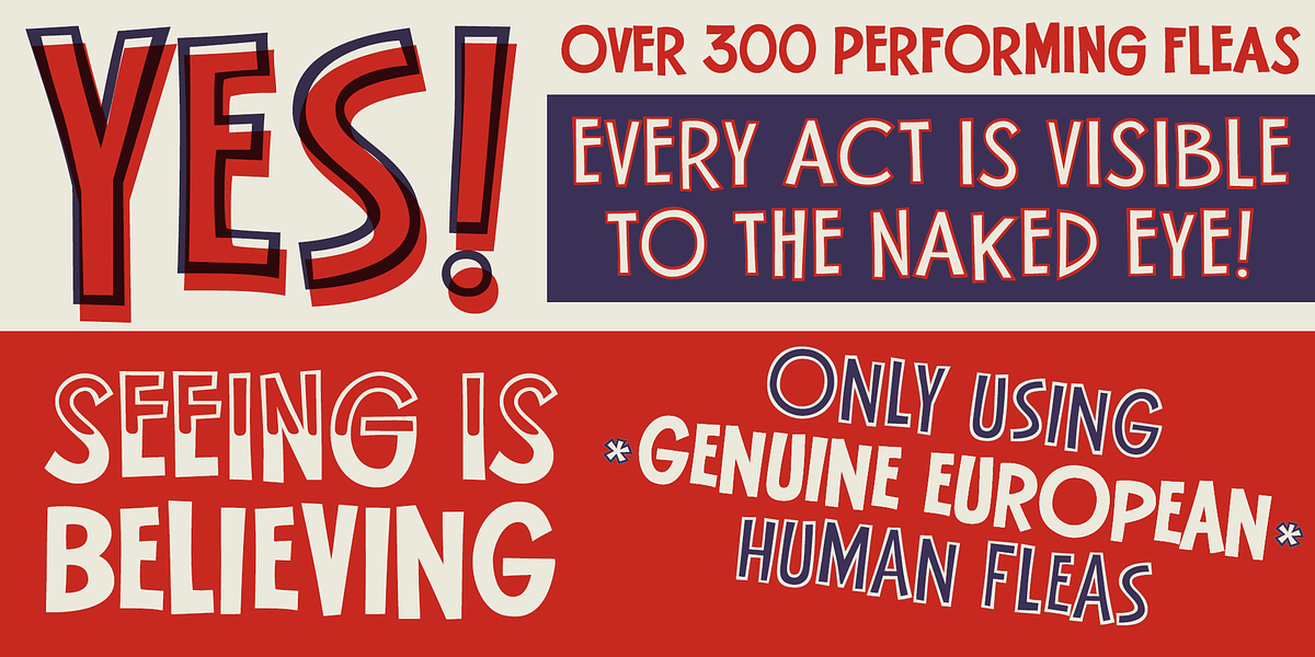 Flea Circus, a Sans Serif Font by One Eyed Squid (Photo 2 of 6)