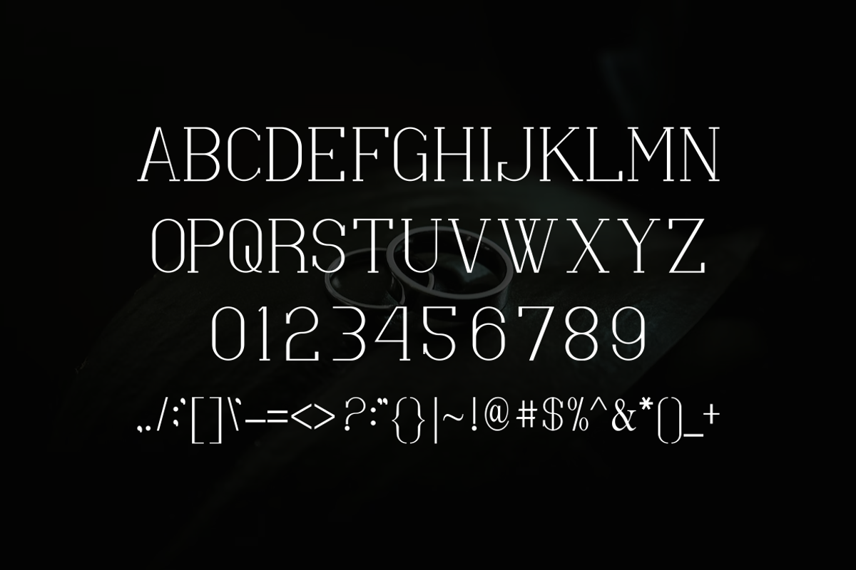 Wanxey Font, a Serif Font by albert_kalingga (Photo 4 of 5)