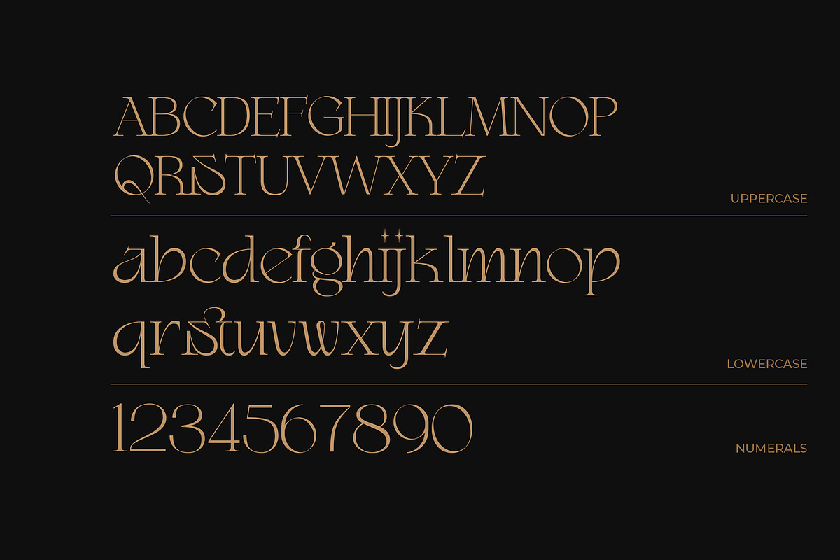 Kogare - Display Font, a Serif Font by Prominent & Affluent (Photo 2 of 9)