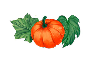 Vegetable Pumpkin With Green Leaves