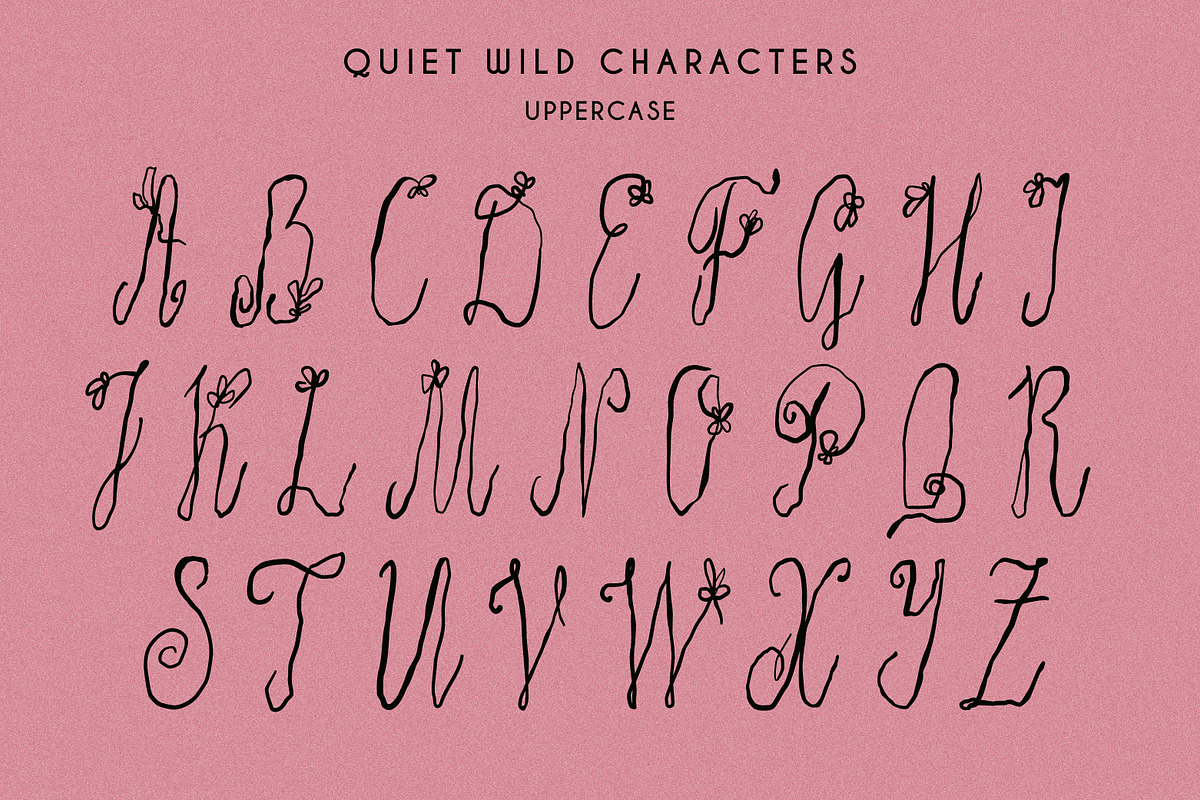 Quiet Wild Whimsical Floral Script, a Script Font by Struvictory.art (Photo 5 of 9)