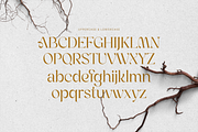 Melinda Elegant Modern Font, a Sans Serif Font by Jaruka (Thumbnail 6 of 10)