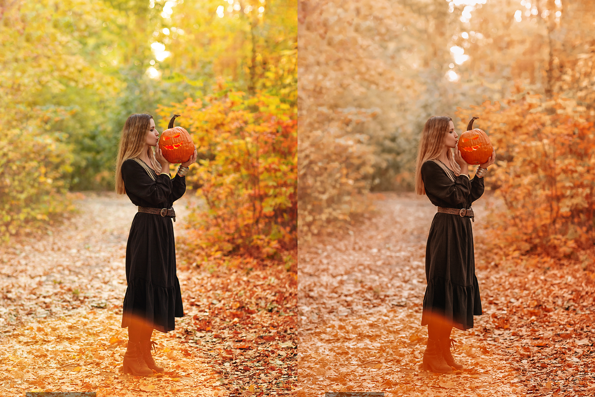 10 Pumpkin Lightroom Presets, a Preset Add-On by RamsaGraphi (Photo 4 of 10)