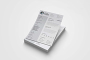 Modern CV Resume Template Design, a Resume Template by Graphic Template (Thumbnail 2 of 4)