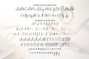 Autography | Script Font, a Handwritten Font by Scratchones (Thumbnail 7 of 8)
