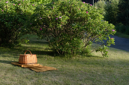 Picnic area in summer. green lawn an, a Holiday Photo by nafood